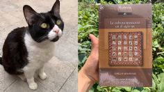 “Por favor, ayúdennos”: Joven vende libros para pagar tratamiento de su gatita y salvarle la vida