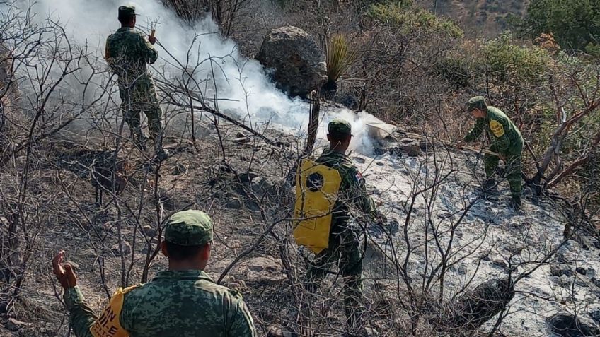 Incendios forestales no dan tregua en Durango, militares batallan para controlarlos | VIDEO