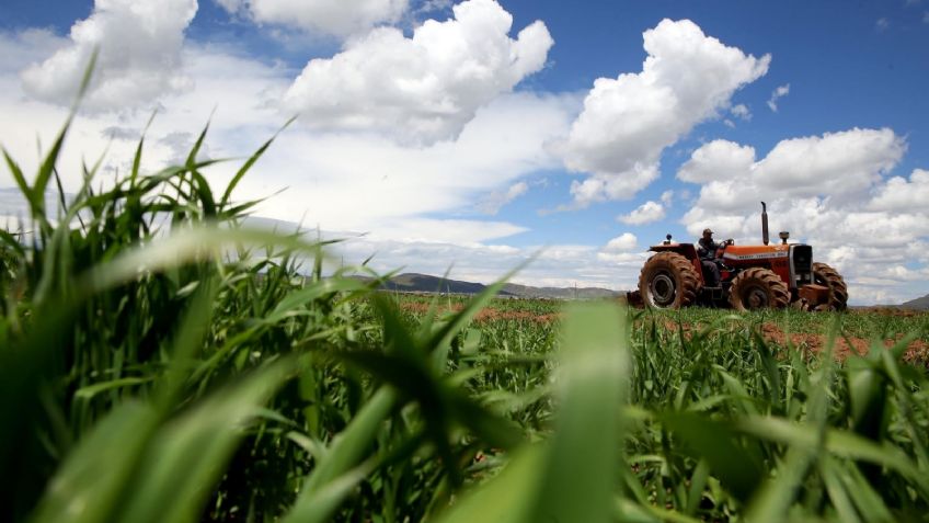 Paquete contra la inflación se sentirá inmediatamente, afirma presidente de Consejo Nacional Agropecuario