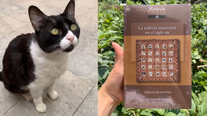 “Por favor, ayúdennos”: Joven vende libros para pagar tratamiento de su gatita y salvarle la vida