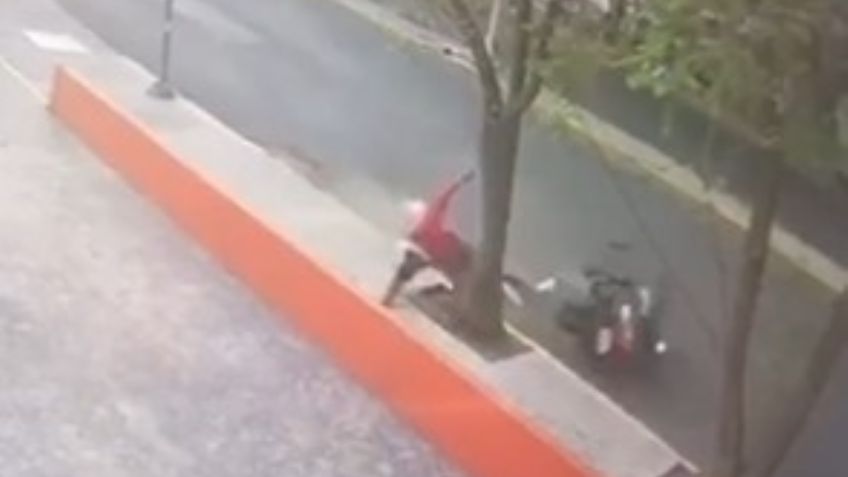 Así fue el MOMENTO EXACTO en que un motociclista se estampó contra un árbol en la CDMX | VIDEO