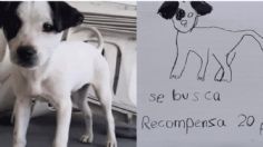 Hermanitas recuperan a su perrito perdido con un dibujo y una recompensa de 20 pesos