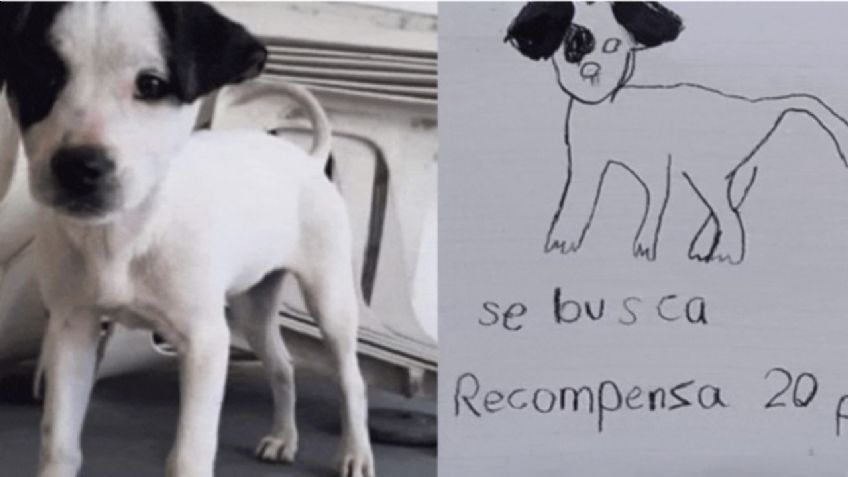 Hermanitas recuperan a su perrito perdido con un dibujo y una recompensa de 20 pesos