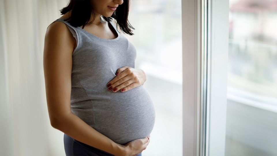 La ley protege a las mujeres que están embarazadas.