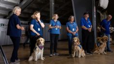 Masacre en Texas: Perros reaniman a familiares de víctimas del tiroteo