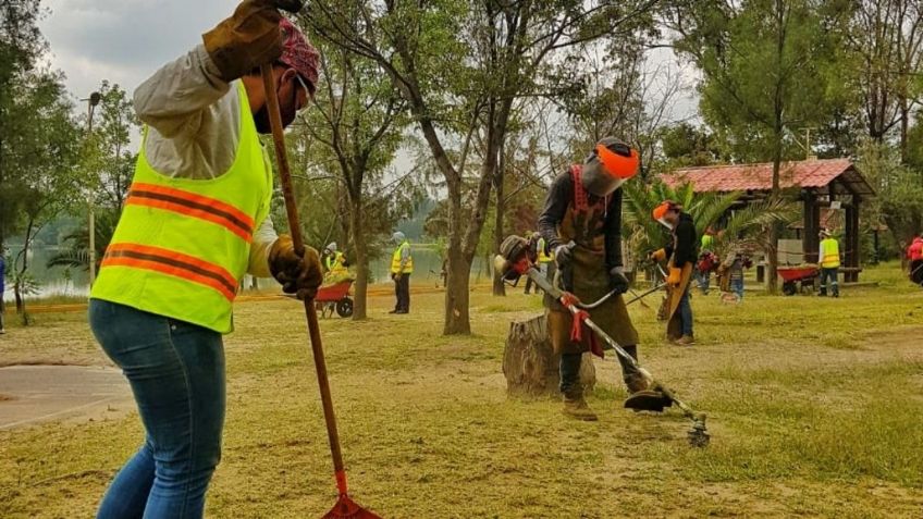 CDMX: Iztacalco ofrece trabajo temporal y pagará hasta 5 mil pesos; requisitos