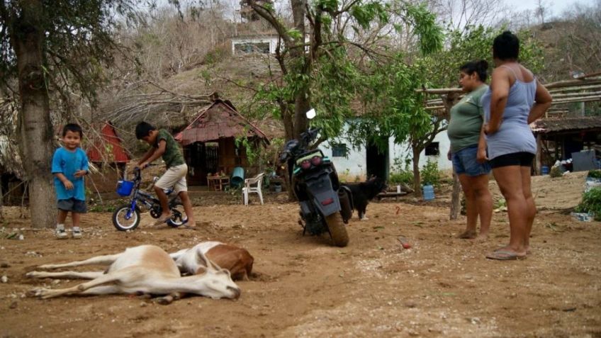 Alcaldesa San Pedro Pochutla pide víveres para afectados en Oaxaca por huracán "Ágatha"