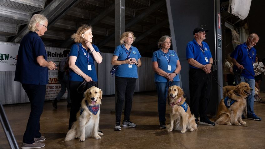 Masacre en Texas: Perros reaniman a familiares de víctimas del tiroteo