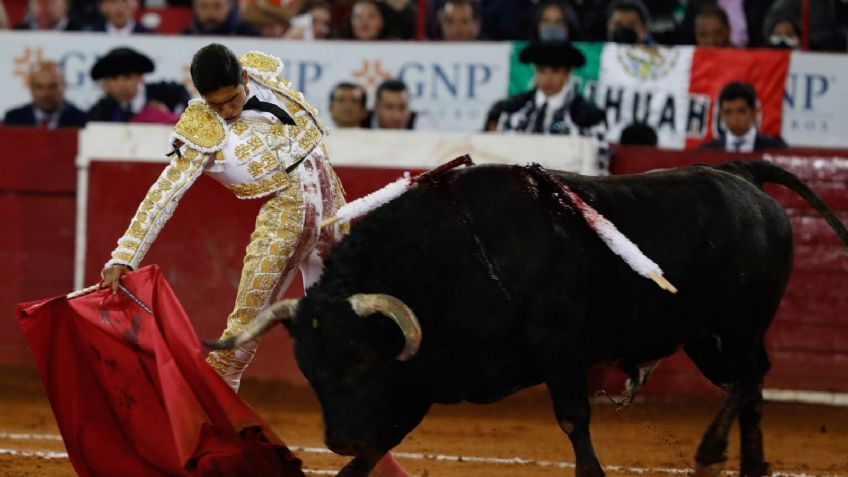 Juez ordena suspensión definitiva de las corridas de toros en la Plaza México