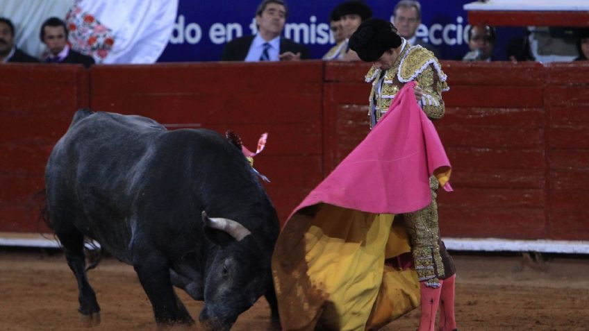 Suspenden corridas de toros en la Plaza México; 5 estados donde está prohibida la fiesta brava