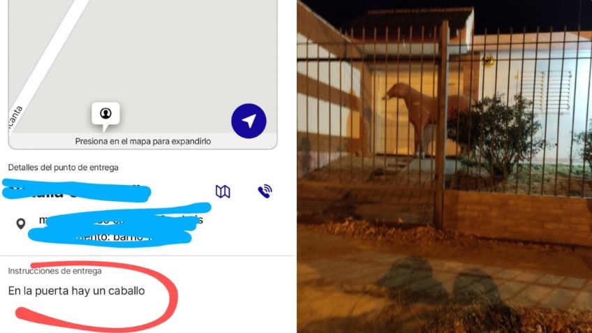 Repartidor pide referencias de la casa del cliente y recibe un: "En la puerta hay un caballo", la FOTO se vuelve viral