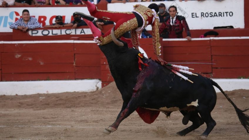 El toro contribuye a la economía mexicana, asegura el presidente de Tauromaquia Mexicana