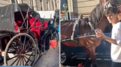 Caballo choca el carruaje que jalaba contra unos autos en Nueva York: VIDEO