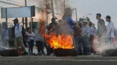 Existe poca comprensión de la violencia; autoridades no dan seguridad: Especialista de la UNAM