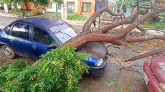 Huracán “Ágatha” y tormenta “Blas” provocan daños al sur de Chiapas | FOTOS