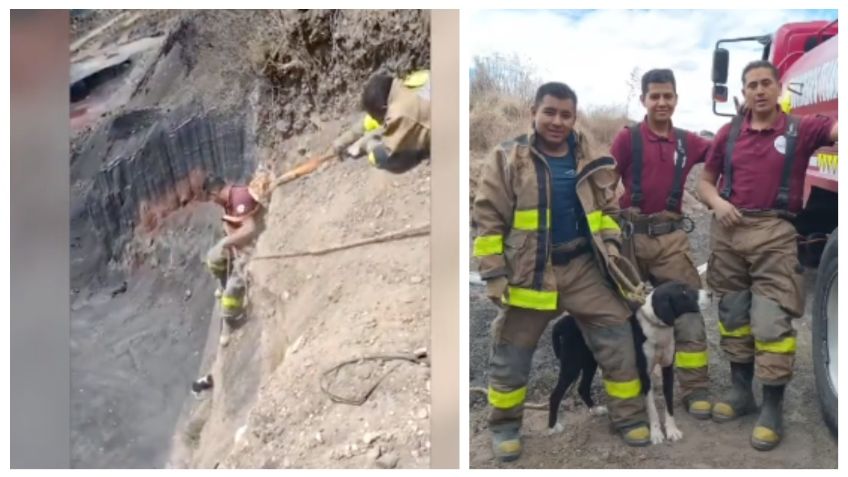 Bomberos rescatan a perrito de morir en peligrosa mina; llevaba horas atrapado y a casi nada irse al fondo | VIDEO