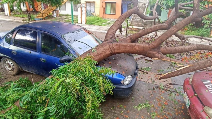 Huracán “Ágatha” y tormenta “Blas” provocan daños al sur de Chiapas | FOTOS