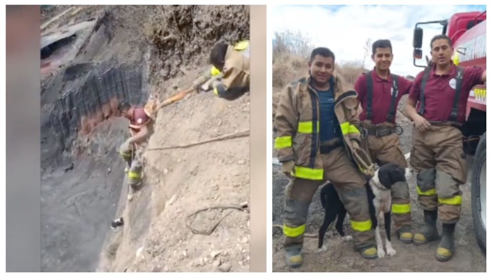 Bomberos de Tecámac rescatan a un perro.