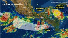 Tormenta tropical Celia: Estos son los estados que presentarán lluvias y fuertes vientos por los próximos 5 días