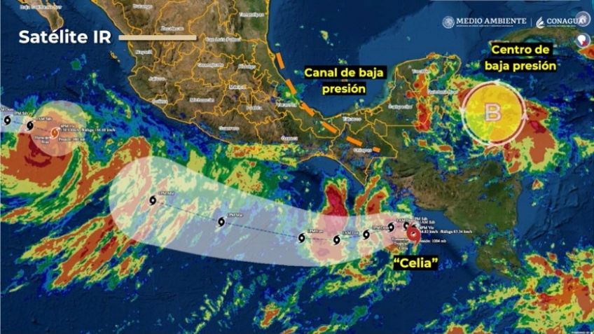 Tormenta tropical Celia: Estos son los estados que presentarán lluvias y fuertes vientos por los próximos 5 días