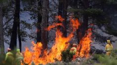 Fuego arrasa miles de hectáreas en Zamora, España