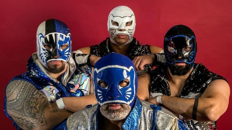 Blue Panther y sus herederos han dejado su huella en la Lucha Libre
