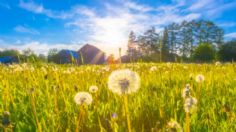 Solsticio de verano 2022: 5 rituales para darle la bienvenida y su significado