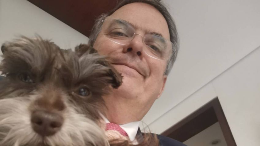 Marcelo Ebrard comparte su WhatsApp en Twitter: “Si quieren mandar mensaje los leo”