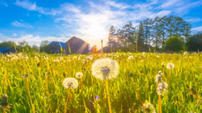 Solsticio de verano 2022: 5 rituales para darle la bienvenida y su significado