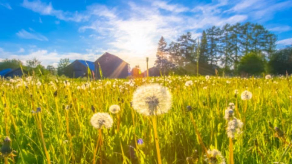 Rituales para atraer la energía positiva en el solsticio de verano