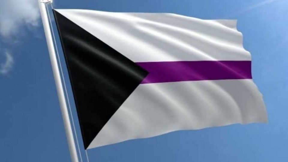 Bandera de personas demisexuales. FOTO: Especial