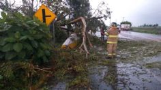 Huracán "Celia" convierte a Tepic en el centro de mayor riesgo