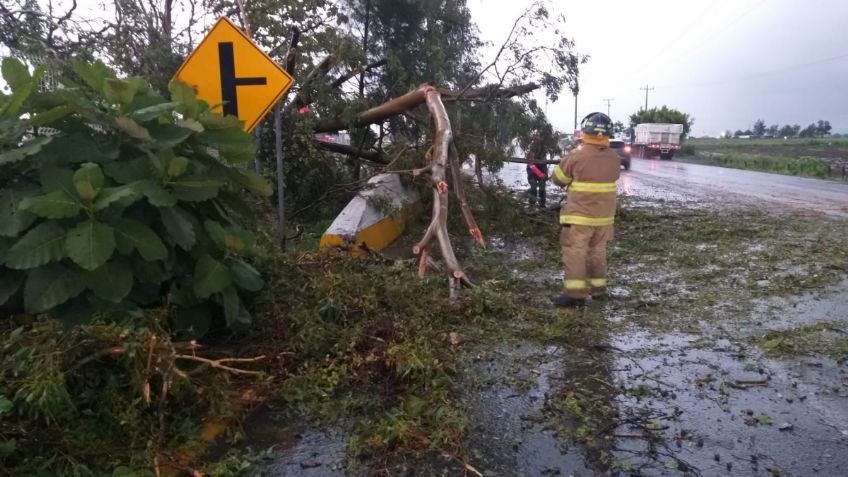 Huracán "Celia" convierte a Tepic en el centro de mayor riesgo