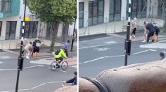 Mujer pide a gritos ayuda para liberar a su perro que fue atacado por un pit bull en calles de Londres | VIDEO