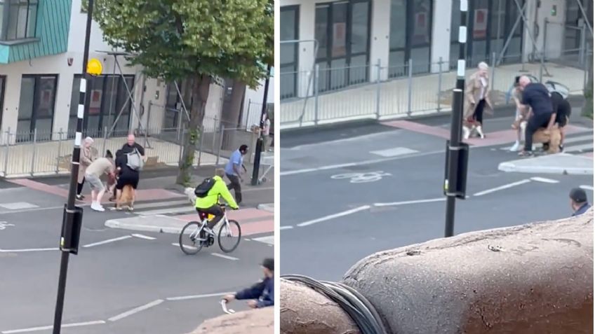 Mujer pide a gritos ayuda para liberar a su perro que fue atacado por un pit bull en calles de Londres | VIDEO