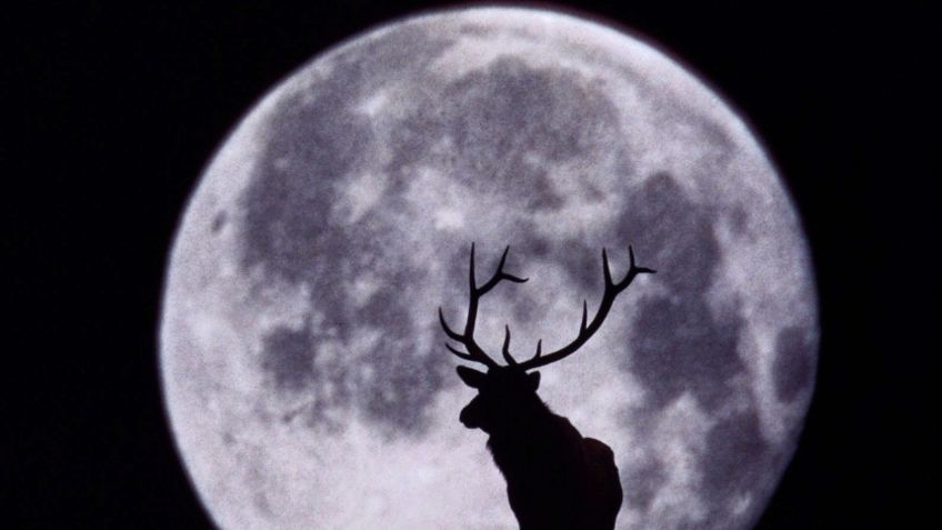 Superluna de Ciervo y todos los eventos astronómicos de julio que debes ver