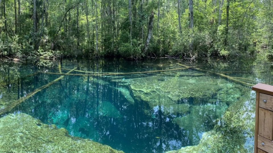 Los hechos ocurrieron en la cueva de Buford Springs, ubicada en el Parque de Vida Silvestre Chassahowitzka en Weeki Wachee