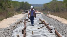 Tramo 5 sur del Tren Maya no ha sido autorizado por la Semarnat, asegura activista