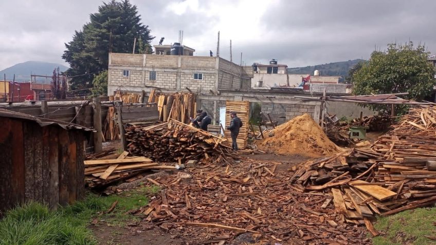 Aseguran aserraderos clandestinos en el Ajusco; hay seis personas detenidas