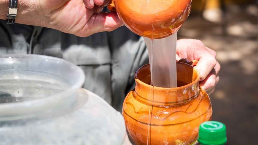 Gran Festival del Pulque CDMX: ¿Cuándo, dónde, actividades y precios del evento?