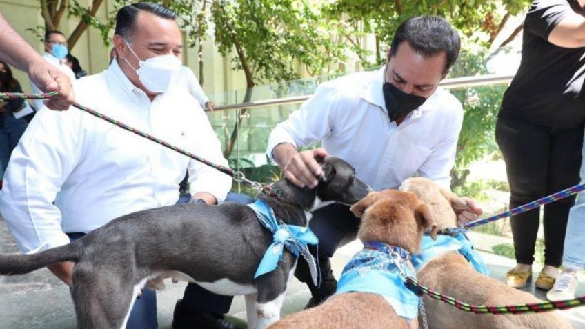 Mauricio Vila y Renán Barrera anuncian construcción del primer hospital veterinario público de Yucatán