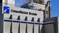 Constellation Brands abrirá nueva planta en Veracruz; cuenta con el apoyo de AMLO