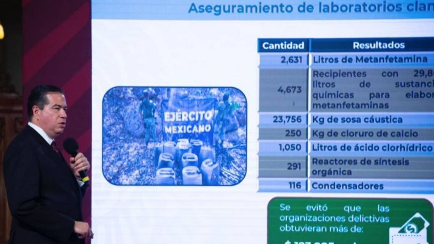 Golpe a delincuencia por 123.2 mmdp: Sedena clausura 90 narcolaboratorios en un mes