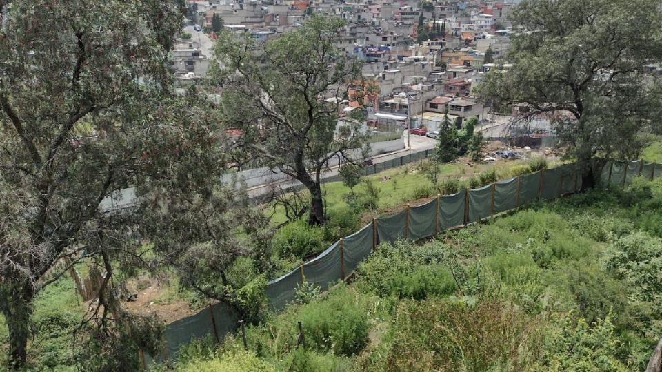 La protección de áreas forestales, la restauración de suelos y bosques en áreas degradadas, contener el fenómeno de la irregularidad