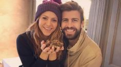 Shakira y Piqué: ¿Por qué se separaron?