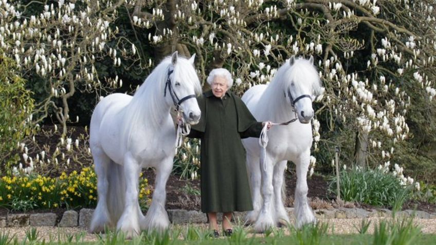 La Reina Isabel II y su enorme colección de caballos: estos son sus 3 favoritos | FOTOS