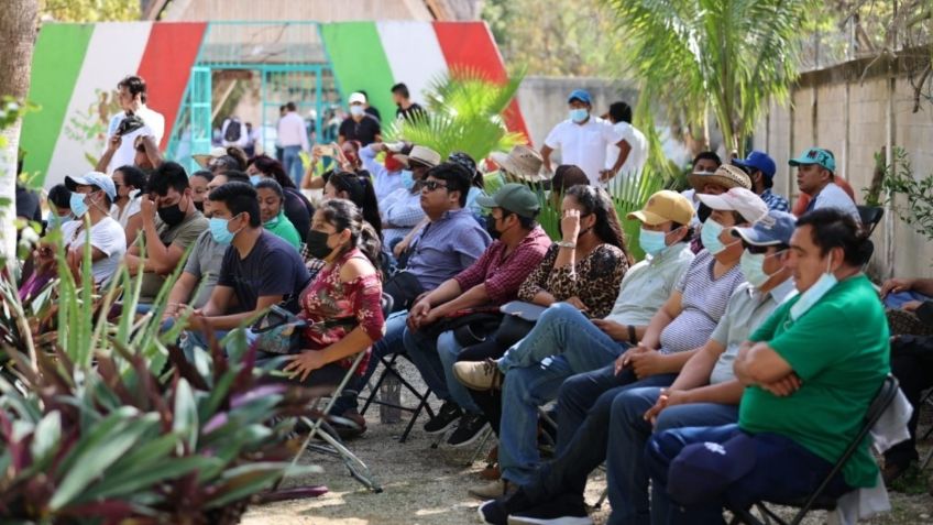 Califican de precaria Manifestación de Impacto Ambiental de Fonatur para el Tramo 5 sur del Tren Maya