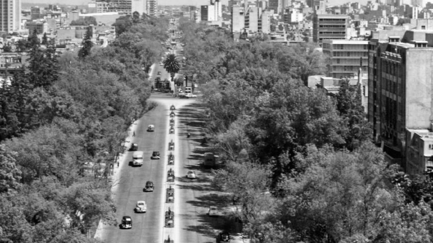 Paseo de la Reforma: así se veía la Glorieta de la Palma en 1950 | FOTO