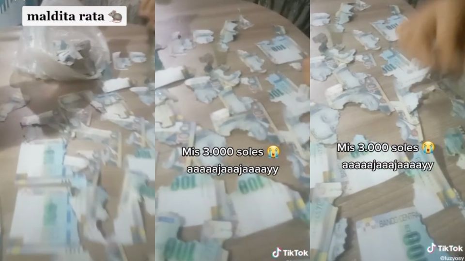 Así quedaron los billetes de 100 soles que había guardado en su casa. FOTO: Especial