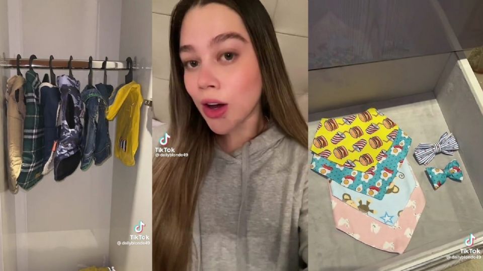 Los usuarios de TikTok quedaron sorprendidos con este clóset para perro, ¿demasiado lujo?